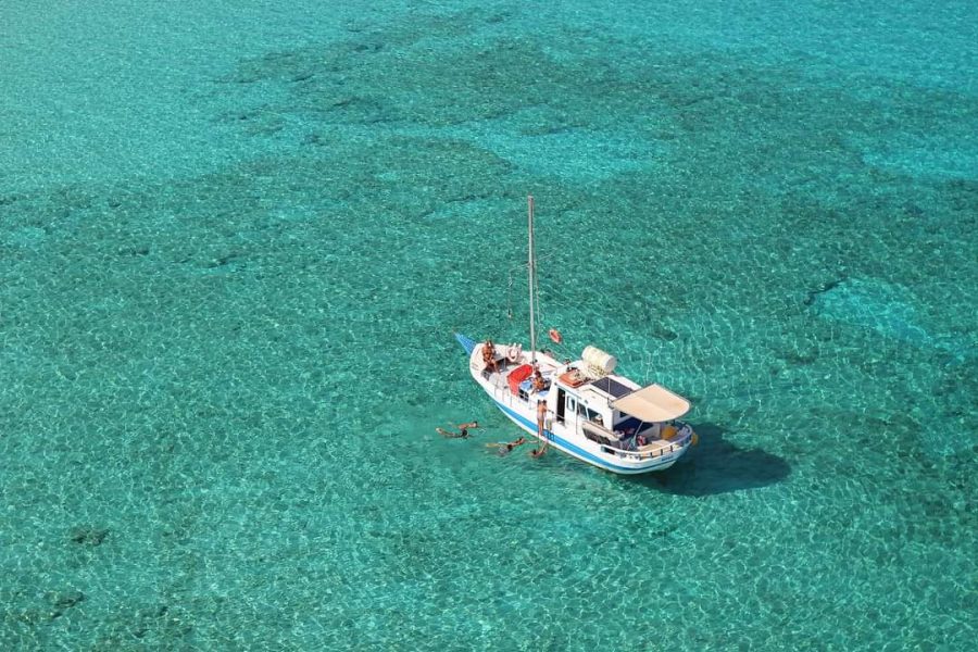 Visit 2 amazing beaches in the Lasithi Prefecture. Full day Private tour up to 7 persons with leissure time in Agios Nikolaos.
